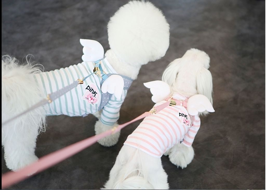 LINE_ALBUM_Itsdog 一般_240312_36