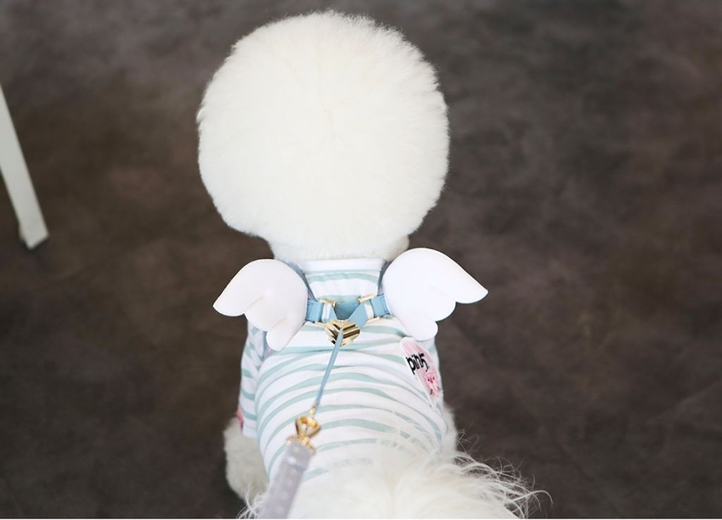 LINE_ALBUM_Itsdog 一般_240312_34