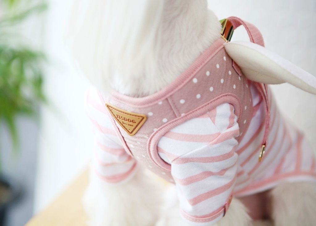 LINE_ALBUM_Itsdog 一般_240312_46