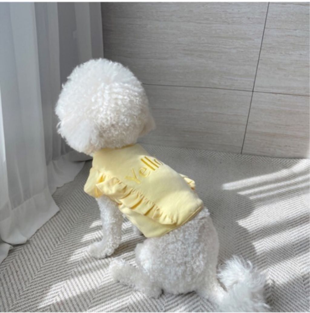 LINE_ALBUM_Grooming dog_240312_5