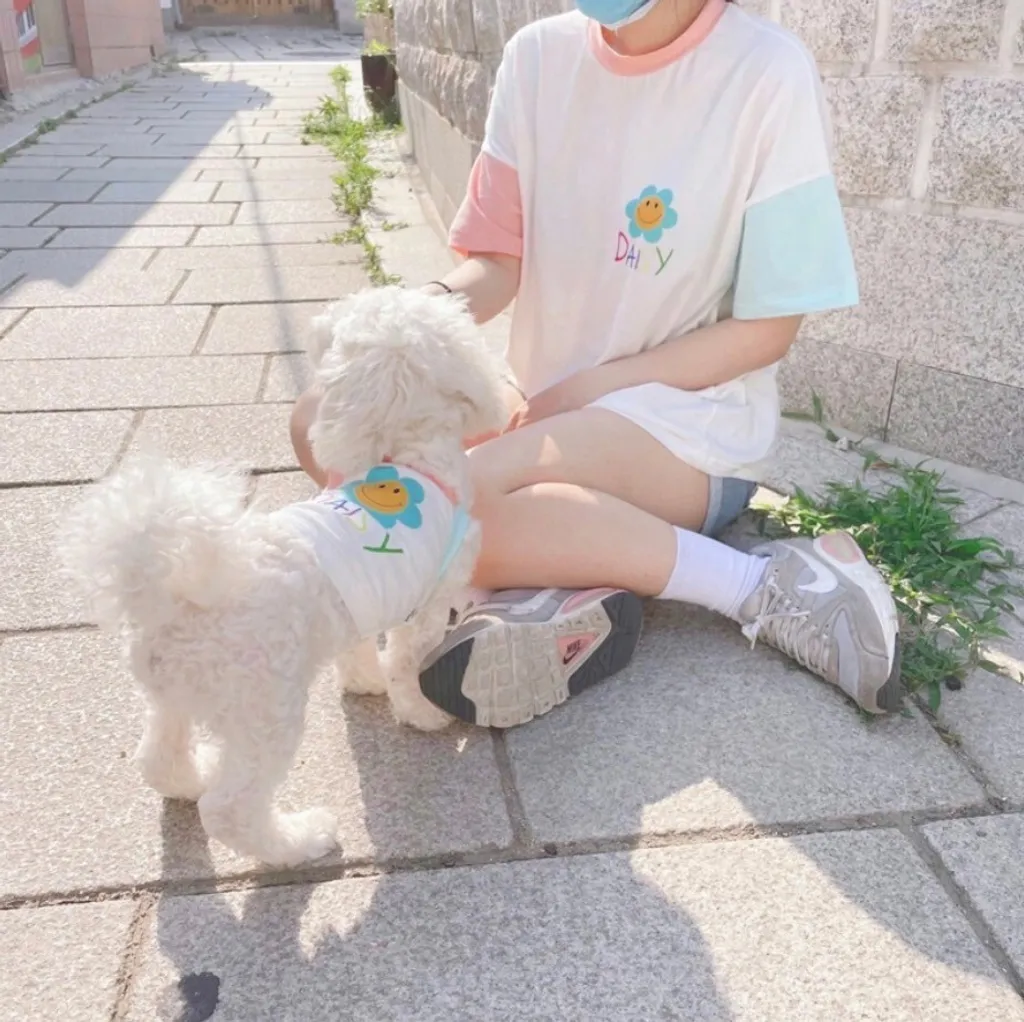 LINE_ALBUM_Grooming dog_240312_16