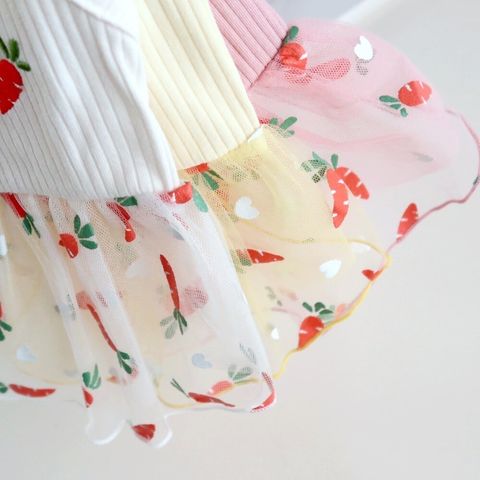 LINE_ALBUM_Honneydog_240319_71