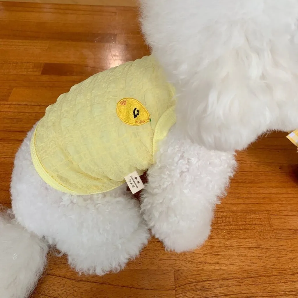 LINE_ALBUM_Doggyholic_240320_1