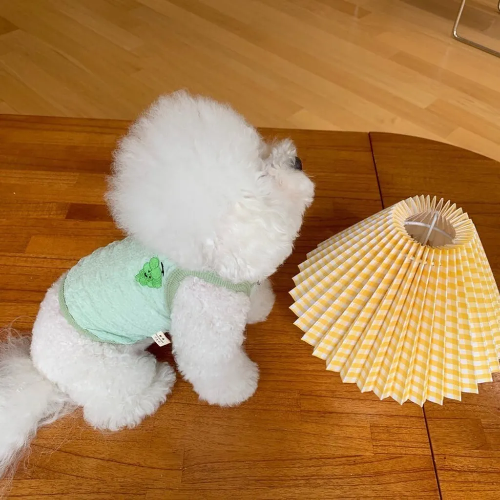 LINE_ALBUM_Doggyholic_240320_11
