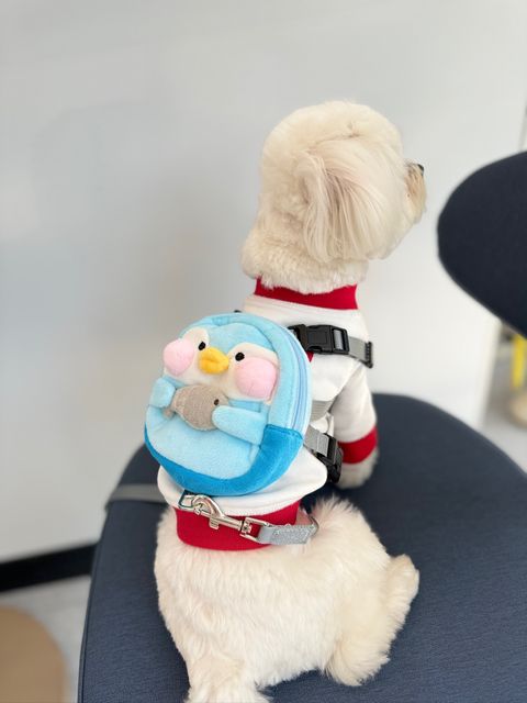 IMG_3001-1710933869373