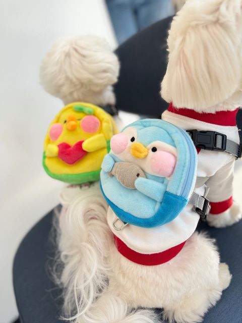 IMG_0955-1710933869650