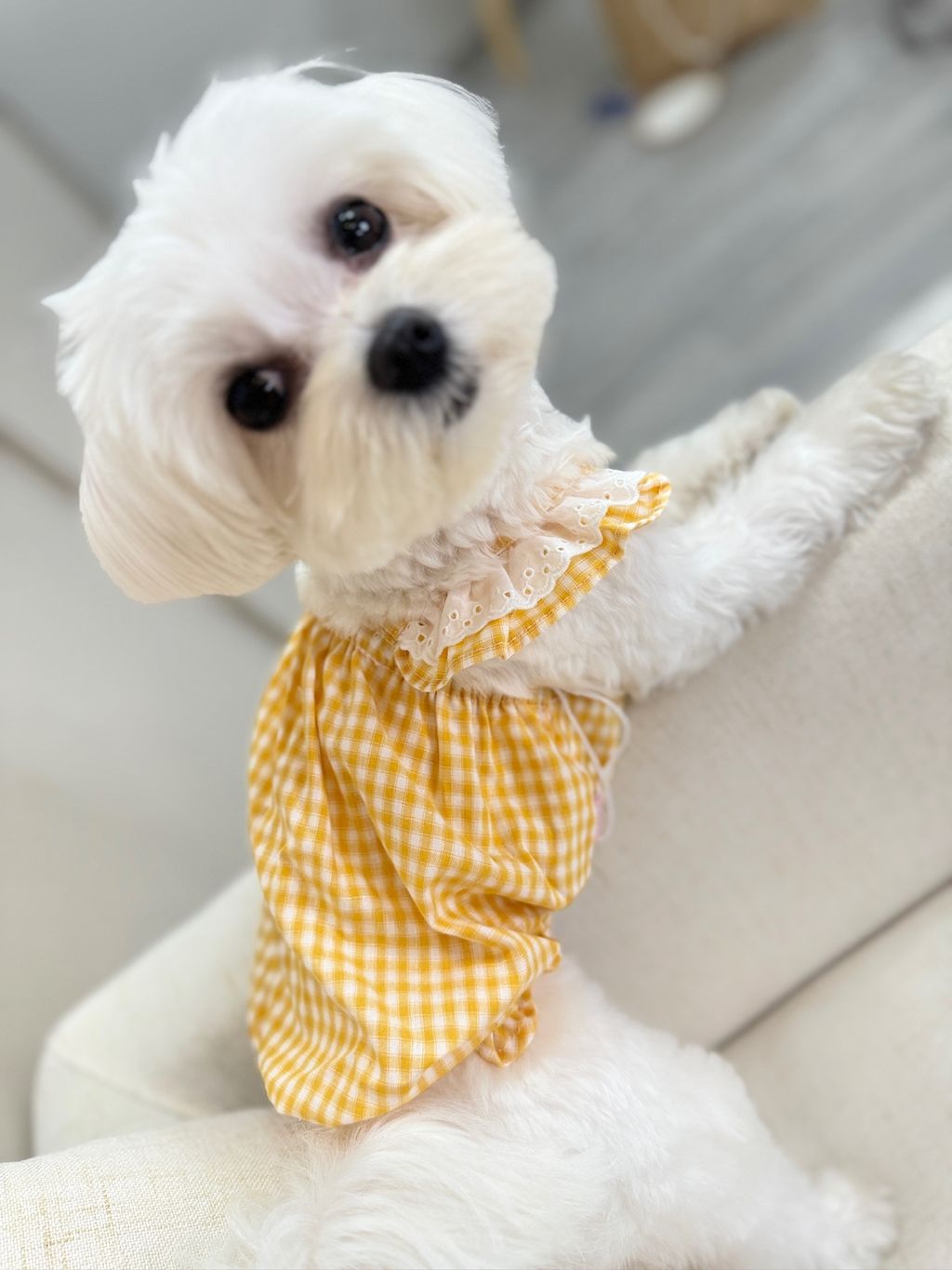 IMG_1087-1711005749881