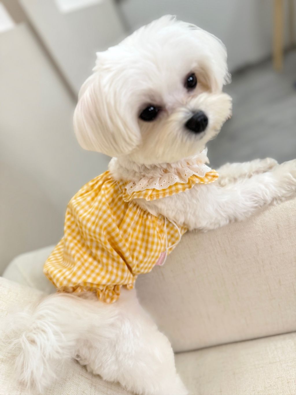 IMG_1089-1711005750119