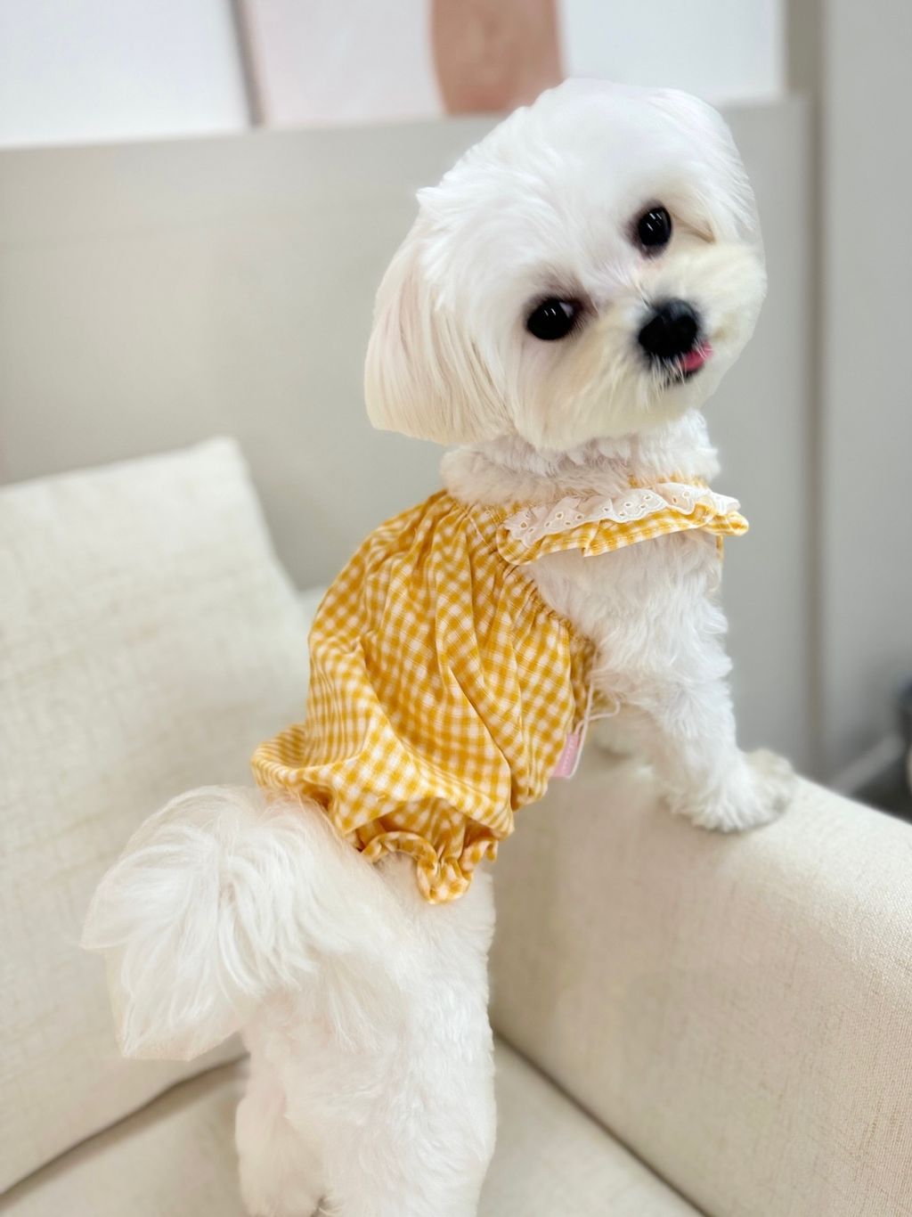 IMG_1090-1711005750142