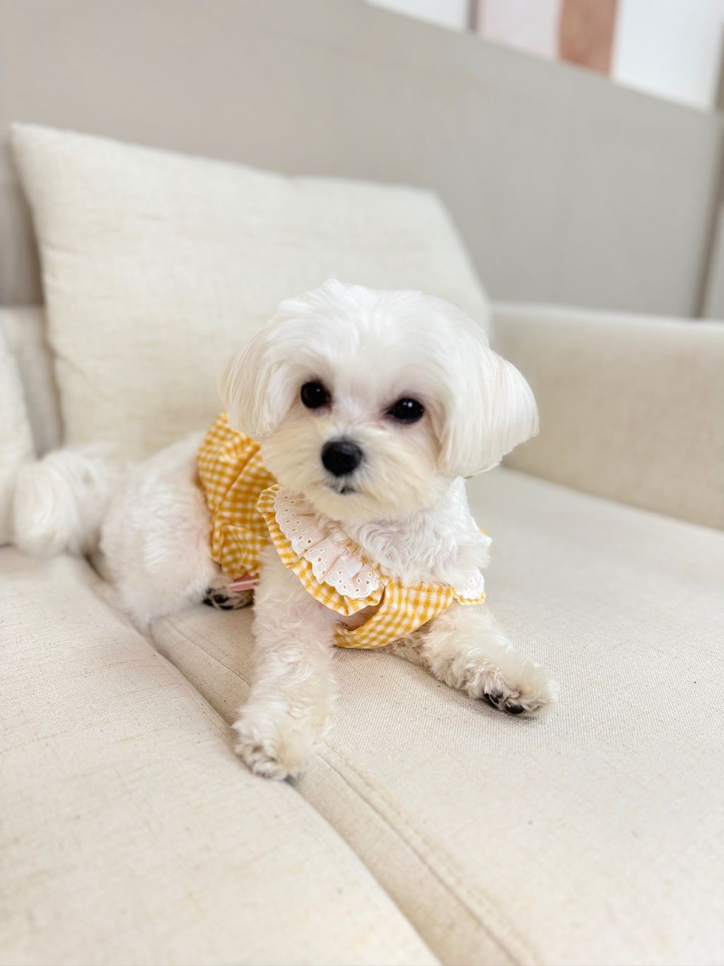 IMG_1092-1711005750179