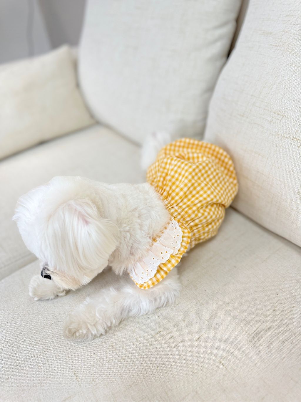 IMG_1093-1711005750197