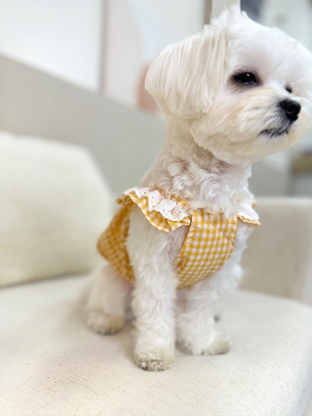 IMG_1094-1711005750218