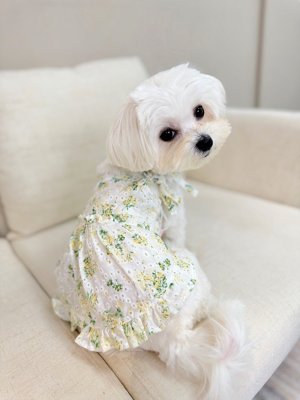 IMG_1162-1711091679488