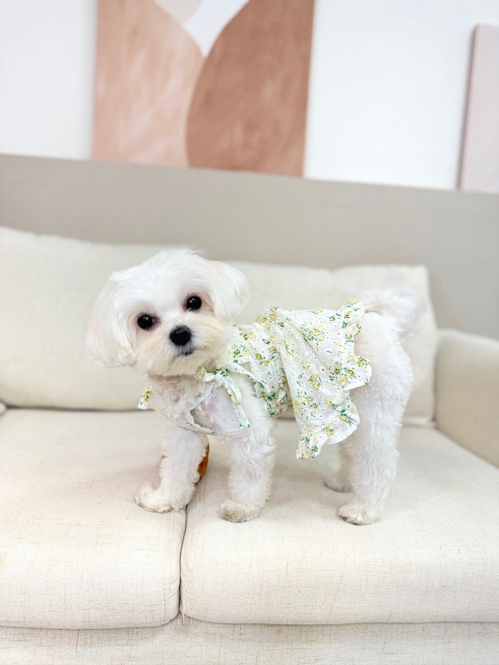 IMG_1163-1711091679482