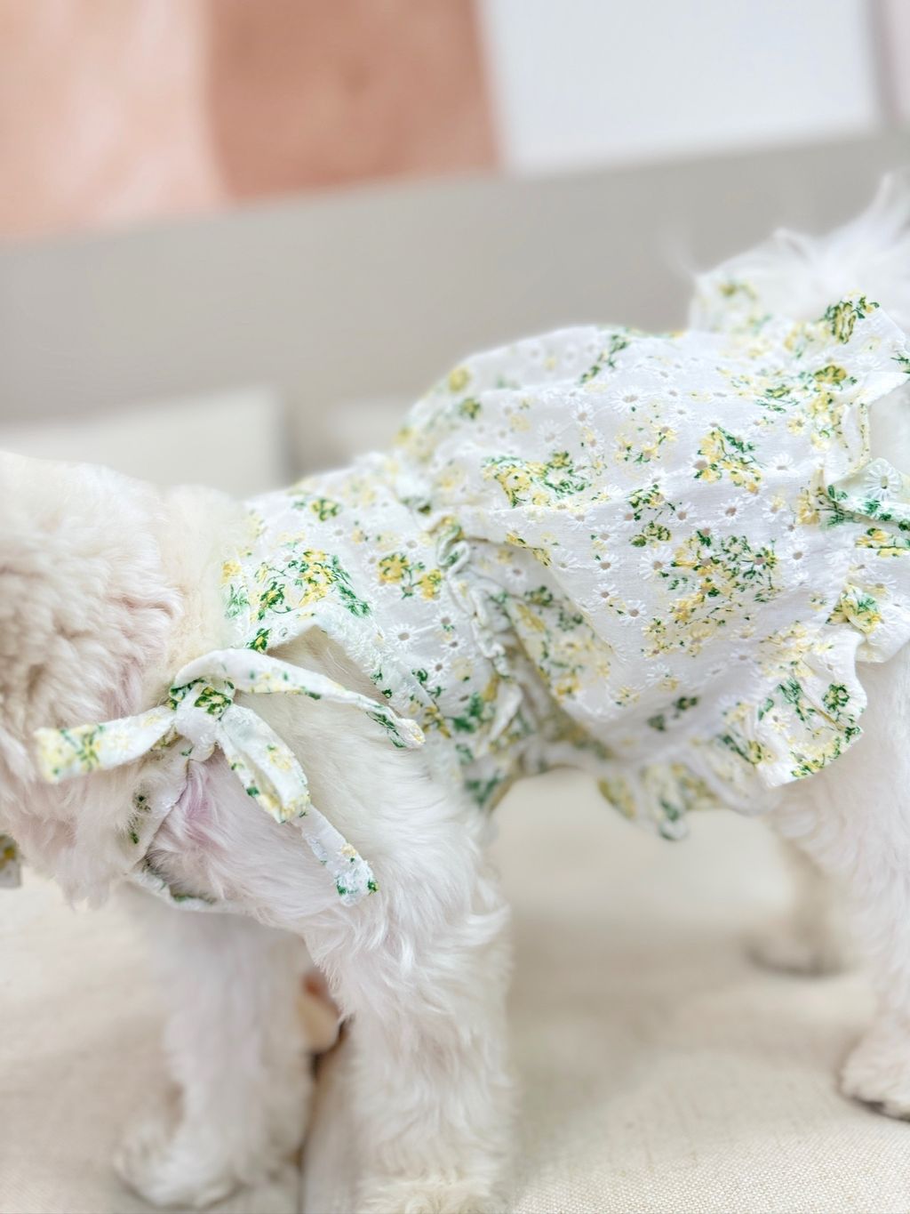 IMG_1164-1711091679491