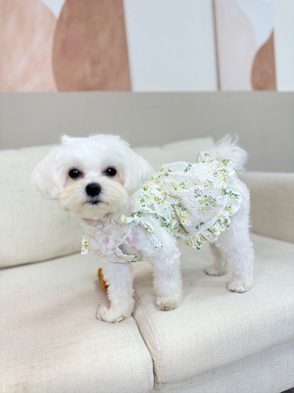 IMG_1166-1711091679502