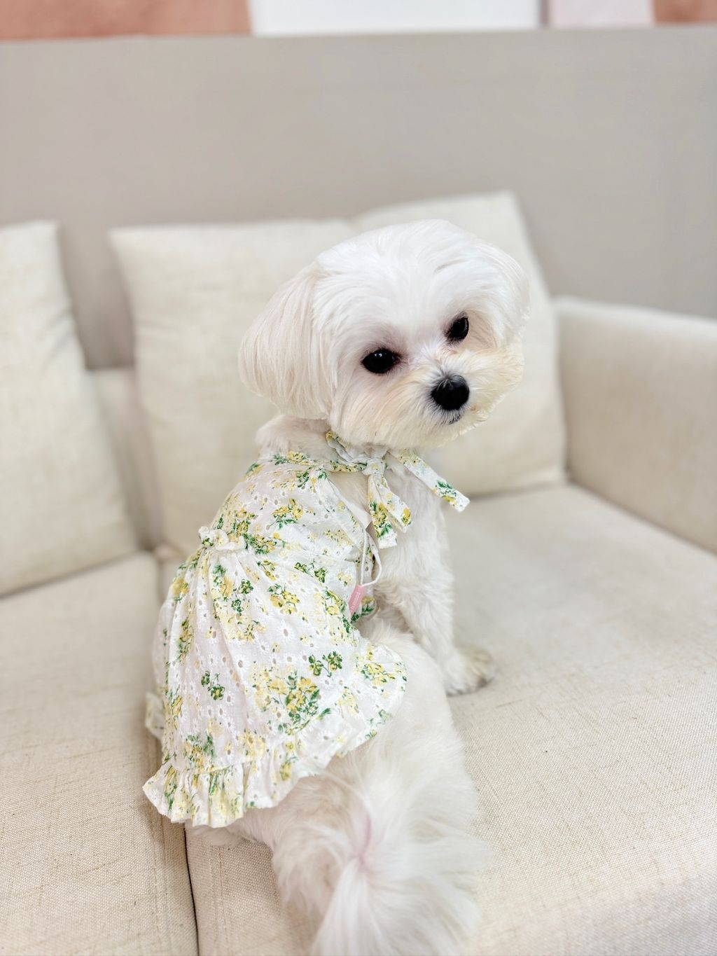 IMG_1168-1711091679536