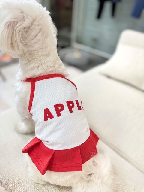 IMG_1258-1711182787230