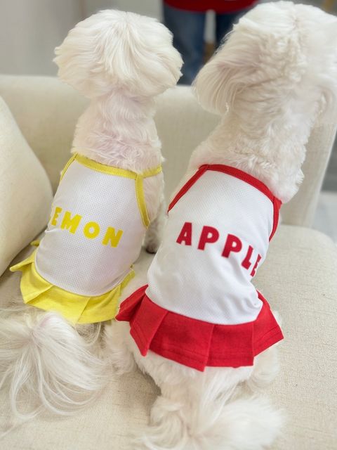 IMG_1263-1711182787271