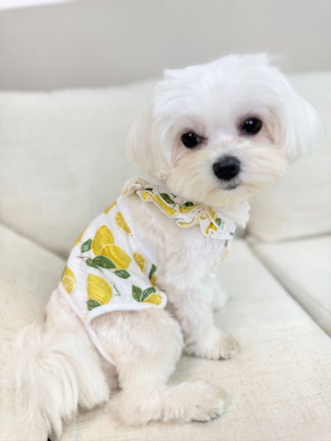 IMG_1280-1711184087100