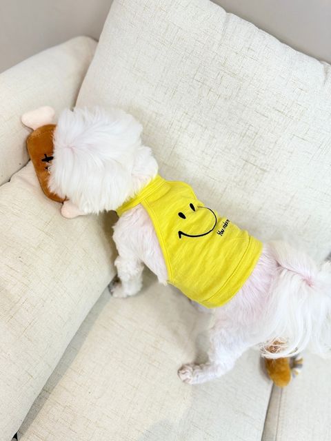 IMG_1293-1711184604122