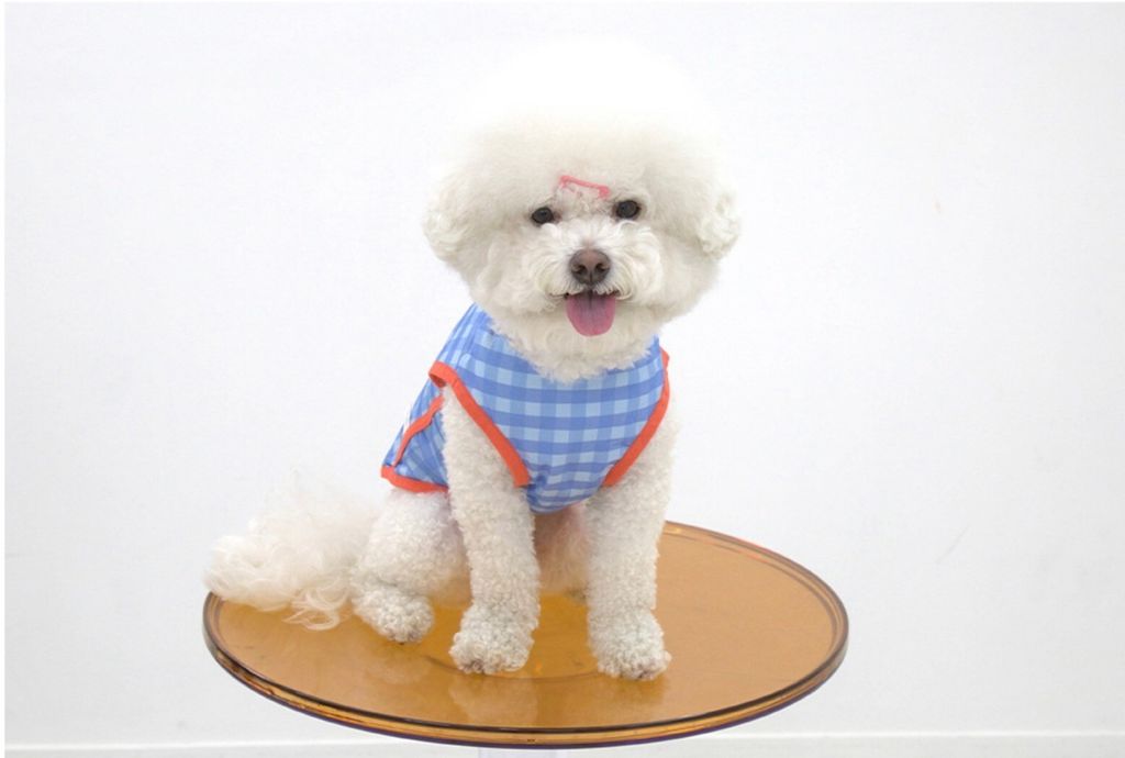 LINE_ALBUM_U_pet_240326_143