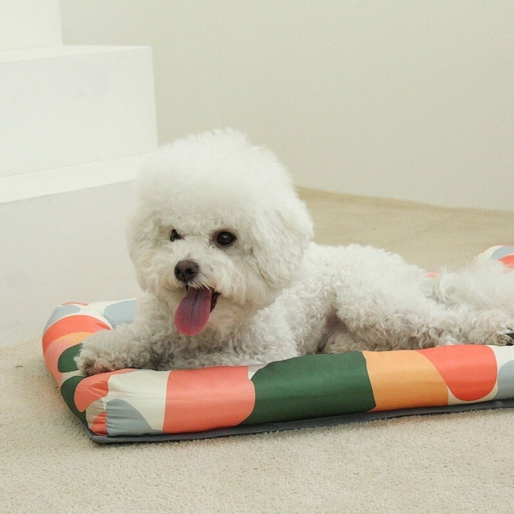 LINE_ALBUM_U_pet_240326_178