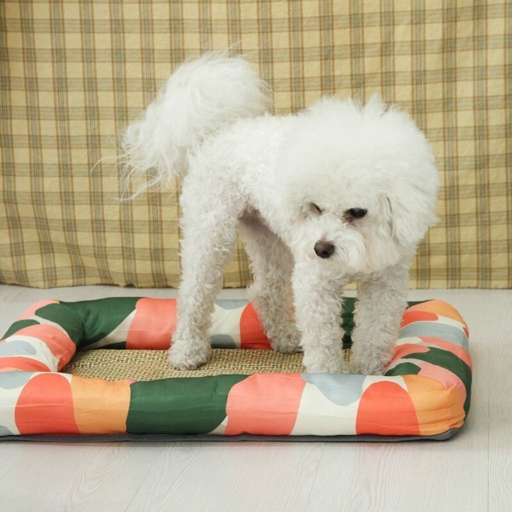 LINE_ALBUM_U_pet_240326_173