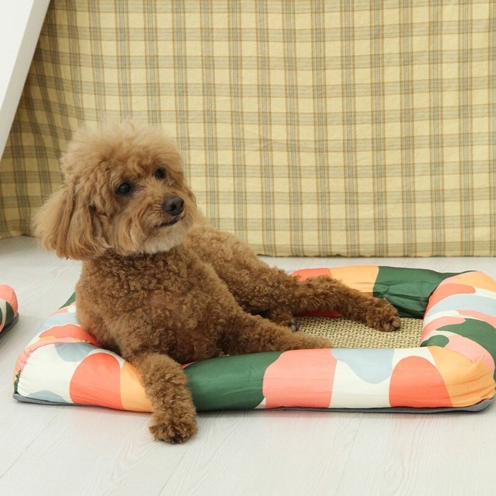 LINE_ALBUM_U_pet_240326_175