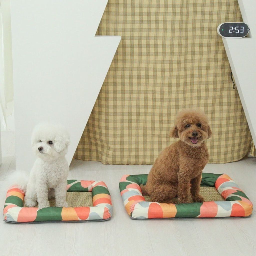 LINE_ALBUM_U_pet_240326_180