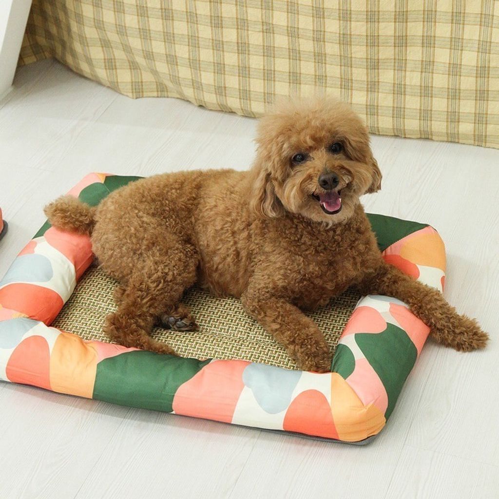 LINE_ALBUM_U_pet_240326_176