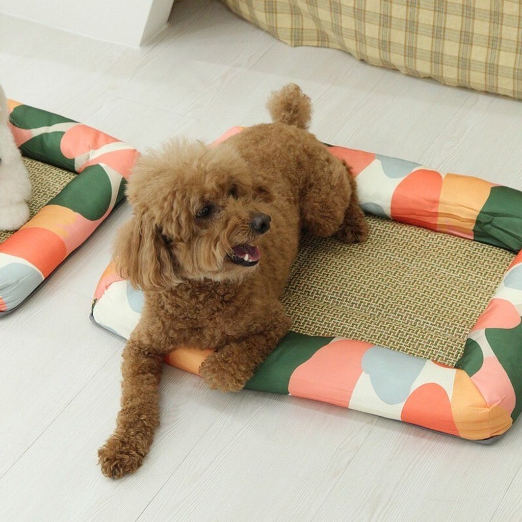 LINE_ALBUM_U_pet_240326_174
