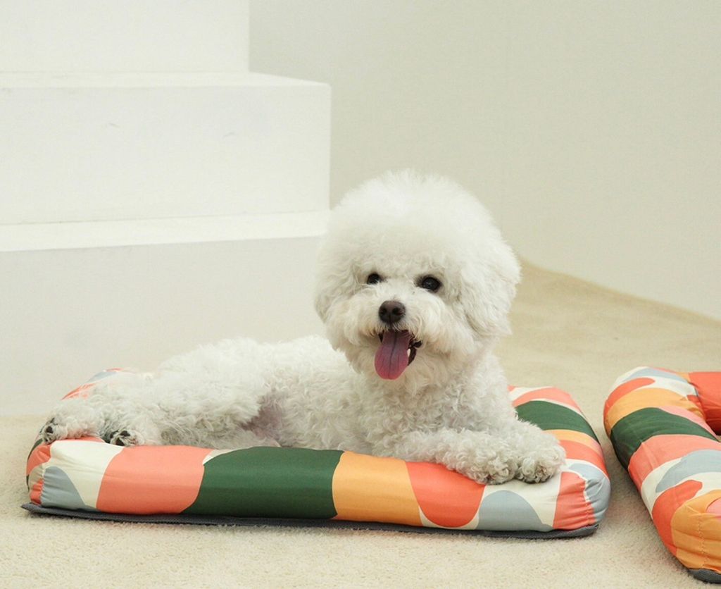 LINE_ALBUM_U_pet_240326_172