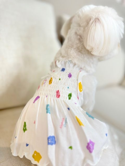 IMG_1472-1711527559269