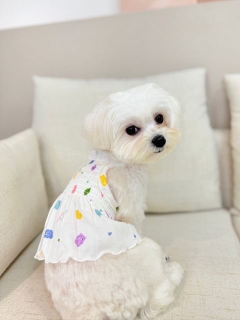 IMG_1471-1711527903866