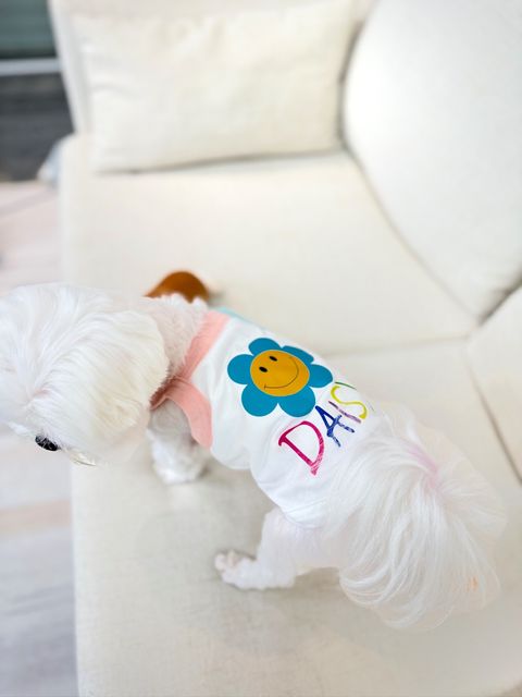 IMG_1798-1711793458839