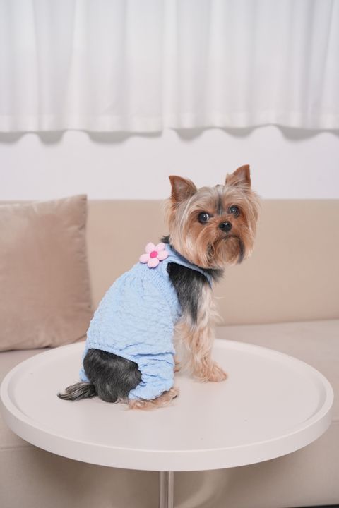 IMG_1943-1711984119782