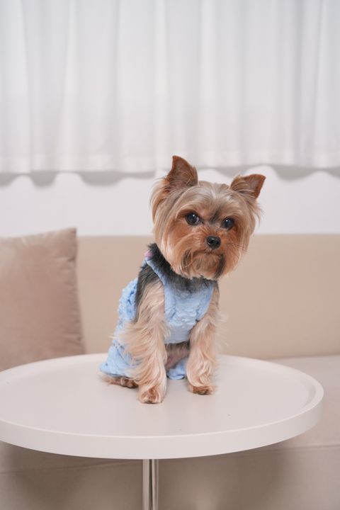 IMG_1942-1711984119643