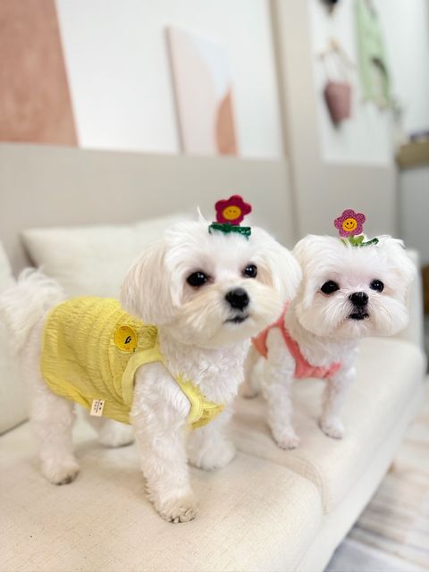 IMG_1303-1712395007814