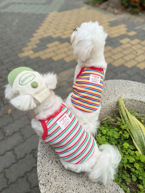 IMG_4703-1712405756945