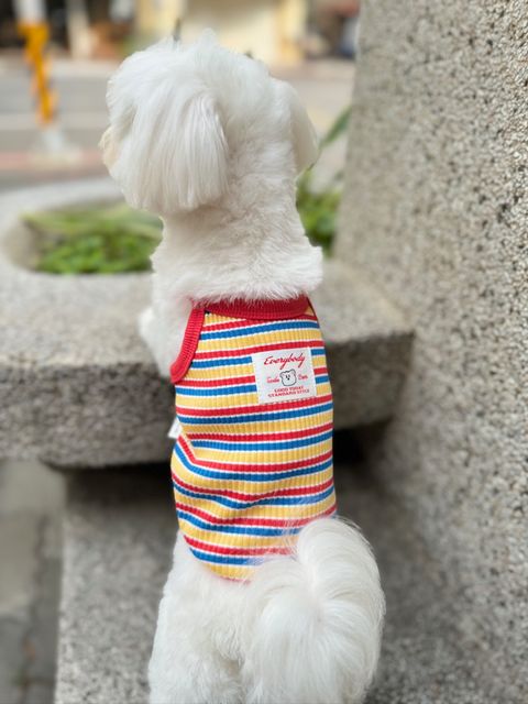 IMG_4687-1712405756987