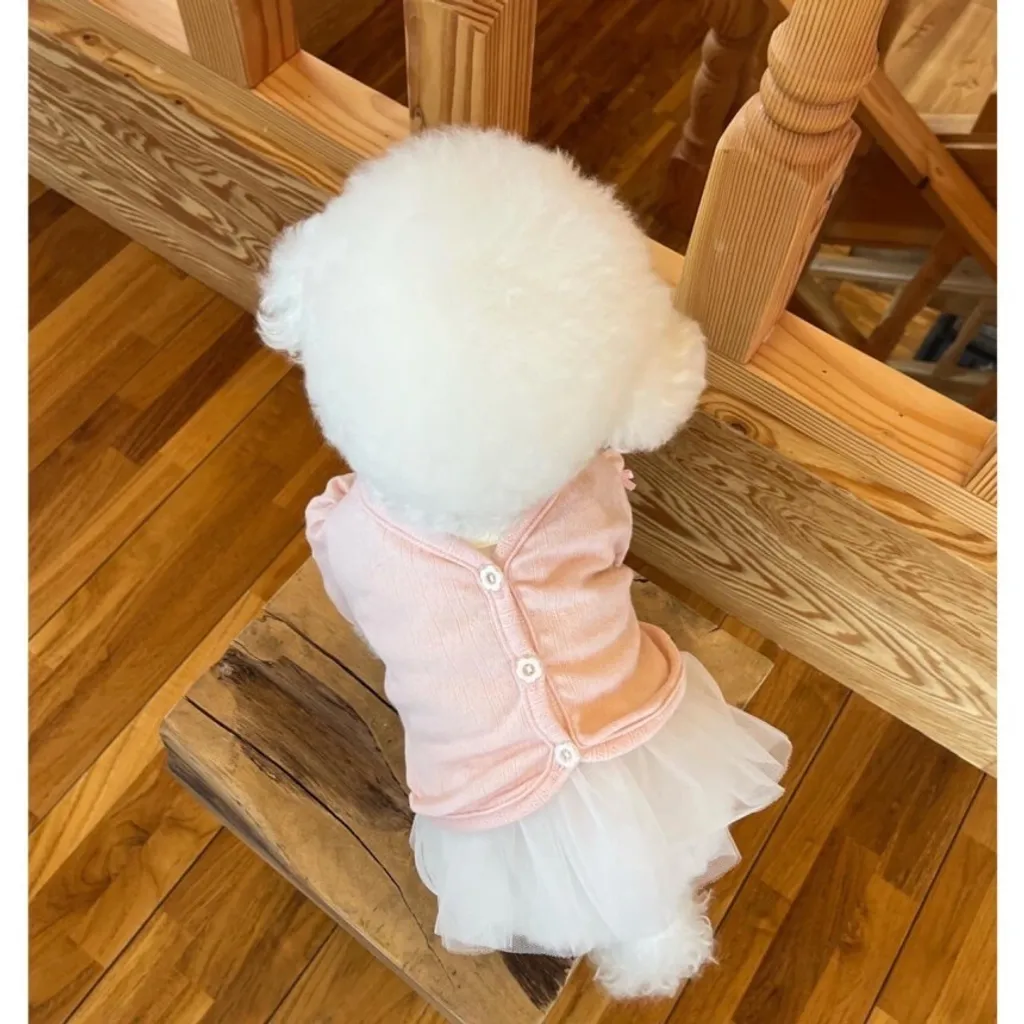 LINE_ALBUM_Buyalldog_240408_24