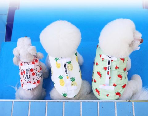 LINE_ALBUM_Itsdog 一般_240410_125