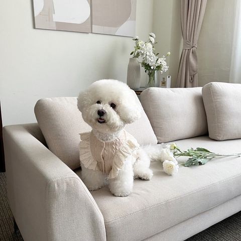 LINE_ALBUM_Little heart_240411_202