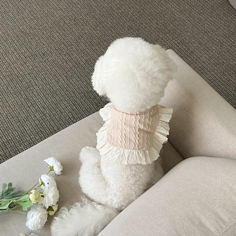 LINE_ALBUM_Little heart_240411_203