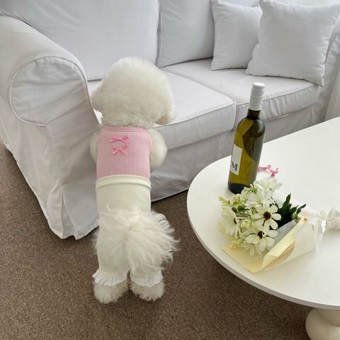 LINE_ALBUM_Little heart_240411_181