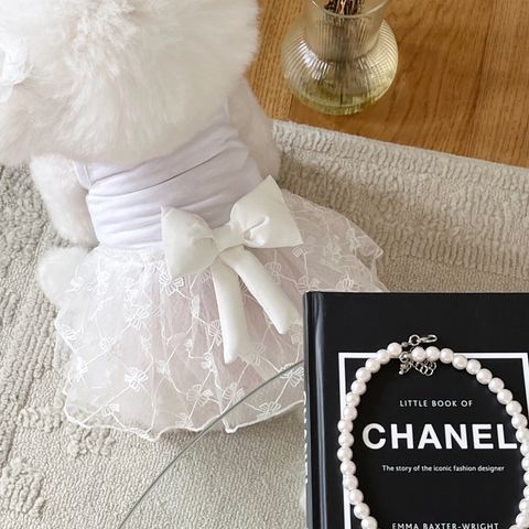 LINE_ALBUM_Little heart_240411_96