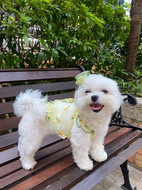 IMG_2720-1712985864724