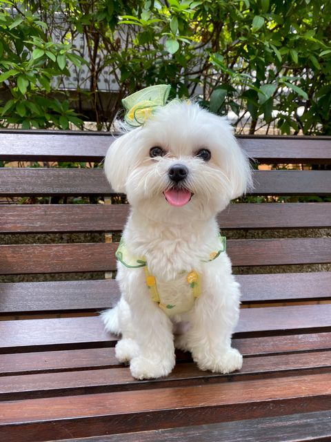 IMG_2742-1712985864781