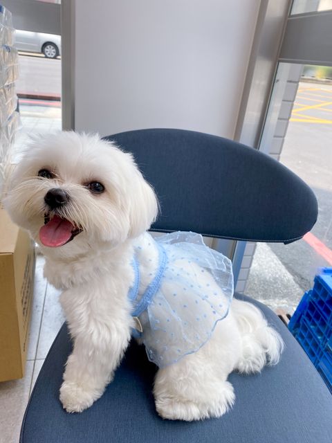 IMG_2803-1712989658658